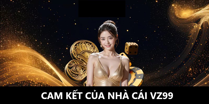 Cam kết của Vz99 đến khách hàng